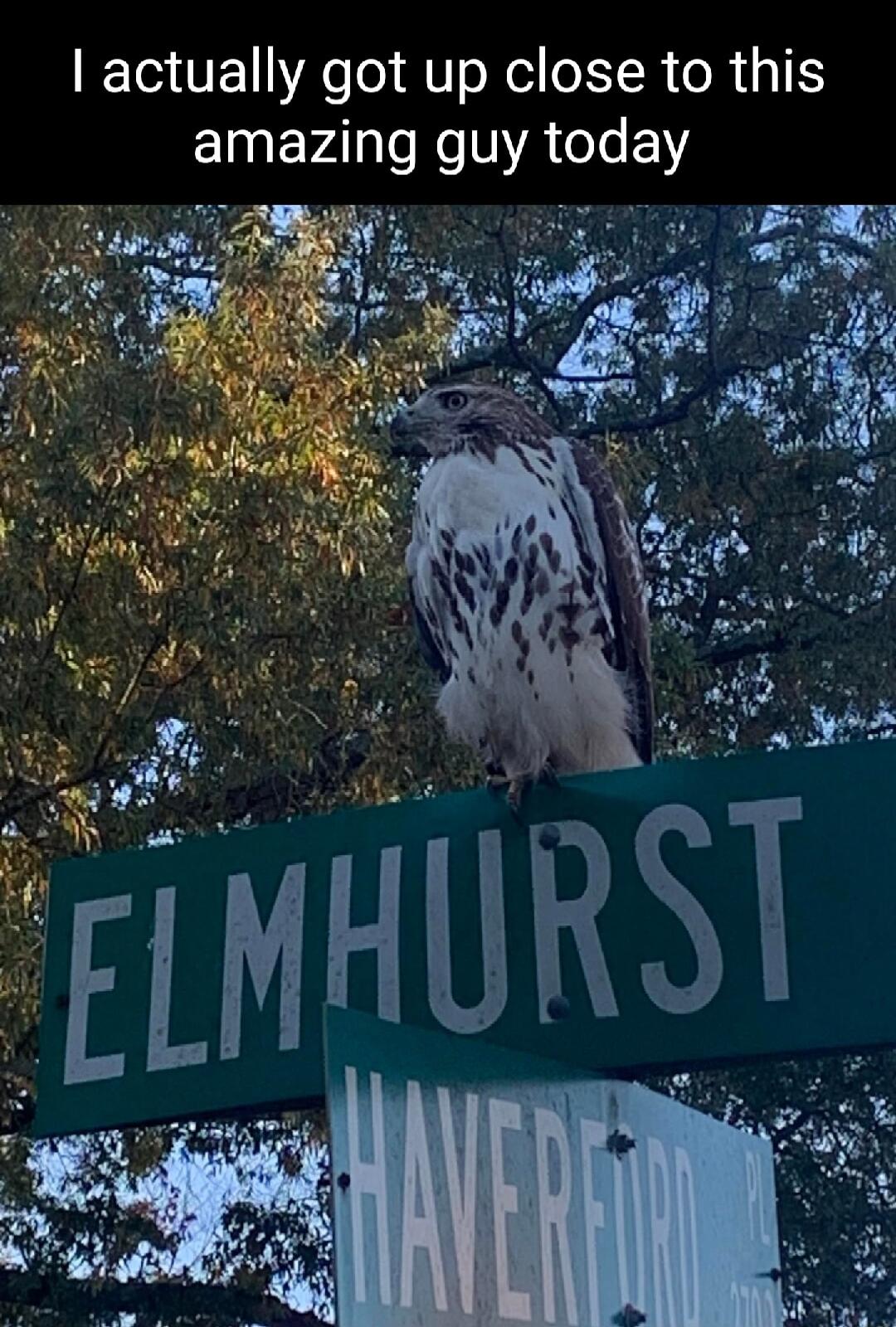 ETGTE Ao o ATsNel IR oR 511 EIEVADTReIYATee 1Y