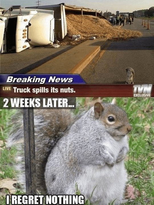 Breaking News LVE Truck spills its nuts M 2 WEEKS LATER