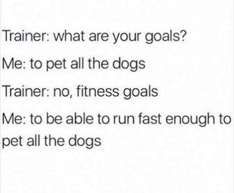Trainer what are your goals Me to pet all the dogs Trainer no fitness goals Me to be able to run fast enough to pet all the dogs