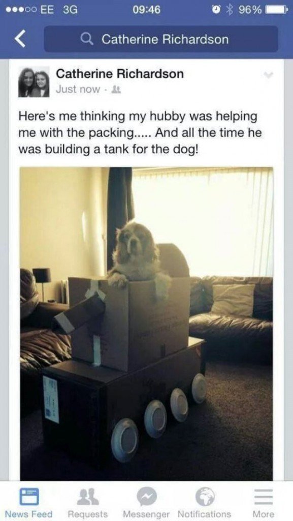 0000 EE 3G CRRCEA Q Catherine Richardson m Catherine Richardson Heres me thinking my hubby was helping me with the packing And all the time he was building a tank for the dog 3