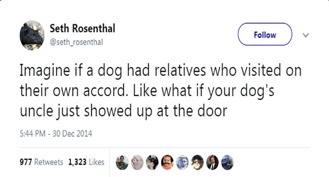 Seth Rosenthal Yot v Imagine if a dog had relatives who visited on their own accord Like what if your dogs uncle just showed up at the door 544 PM 30 Dec 2014 amrenees 1331k O HORHOS