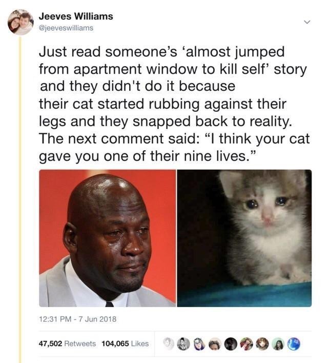 2 Jeeves Williams Just read someones almost jumped from apartment window to kill self story and they didnt do it because their cat started rubbing against their legs and they snapped back to reality The next comment said I think your cat gave you one of their nine lives 1231 PM 7 Jun 2018 47502 Fetweets 104065 Likes e o eOa