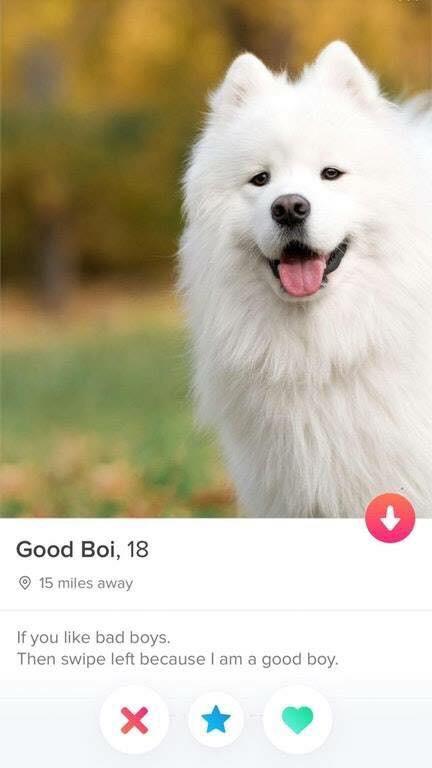 Good Boi 18 If you like bad boys Then swipe left because am a good boy X