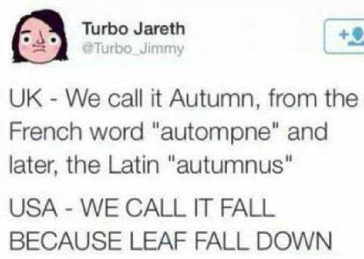 Turbo Jareth Turbo Jimmy UK We call it Autumn from the French word autompne and later the Latin autumnus USA WE CALL IT FALL BECAUSE LEAF FALL DOWN