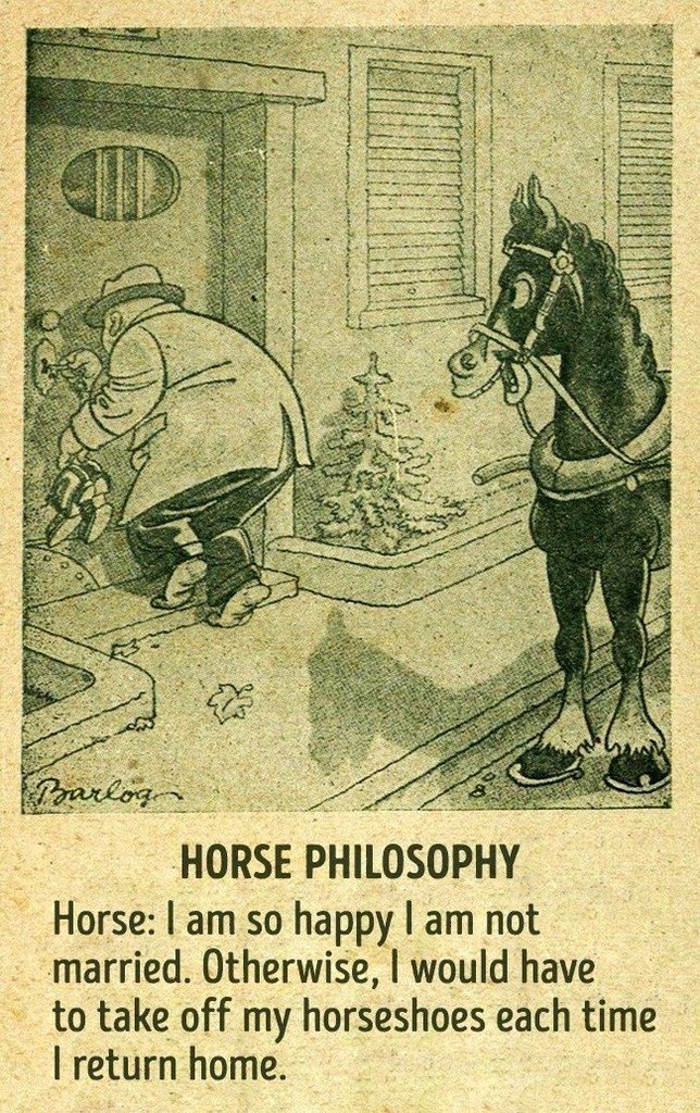 HORSE PHILOSOPHY Horse am so happy am not married Otherwise would have to take off my horseshoes each time return home
