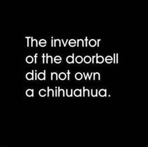 The inventor of the doorbell foeNolel MelVgl a chihuahua