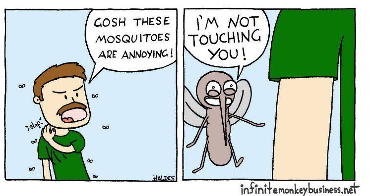COSH THESE MOSQUITOES inFinitemonkeybusinessnet