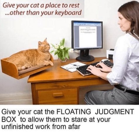 Give your cat a place to rest other than your keyboard Give your cat the FLOATING JUDGMENT BOX to allow them to stare at your unfinished work from afar
