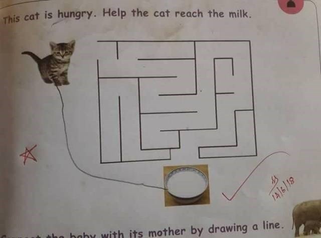 ry Help the cat reach the milk A4