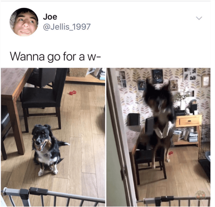 Joe Fen Jellis_1997 Wanna go for a w