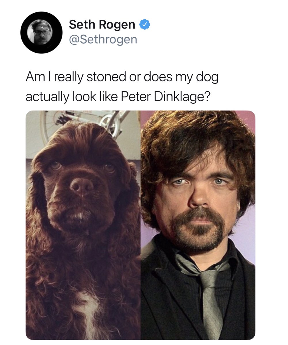 Seth Rogen Sethrogen Am really stoned or does my dog actually look like Peter Dlnklage