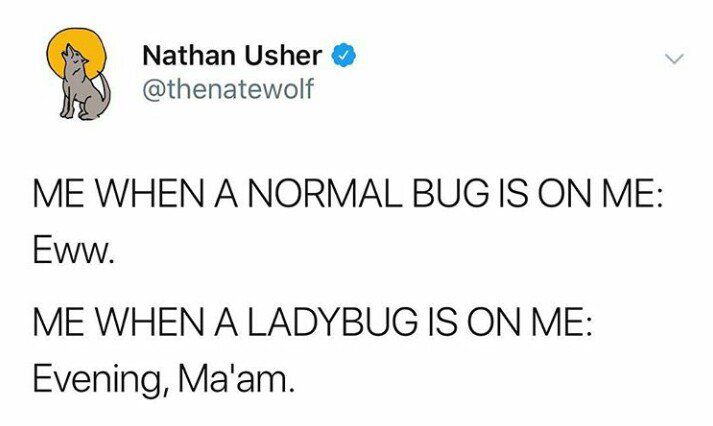 Nathan Usher thenatewolf ME WHEN A NORMAL BUG IS ON ME Eww ME WHEN A LADYBUG IS ON ME Evening Maam