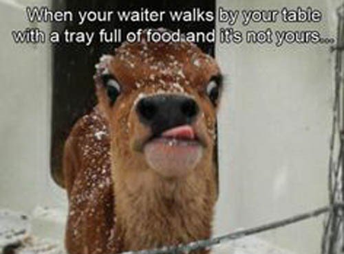 lihen your waiter walks Bylyourtabic