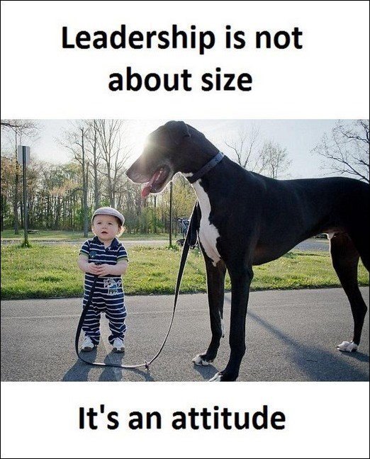 Leadership is not about size Its an attitude