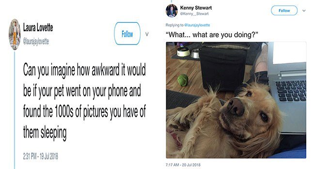 Tetoy lLamlwm 3 S Folow v What what are you doing Can you imagine how avkward t would b f your pet went on your phong and found the 1000s o icures you have of hem segping