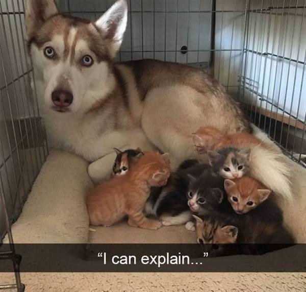 l can explain 8