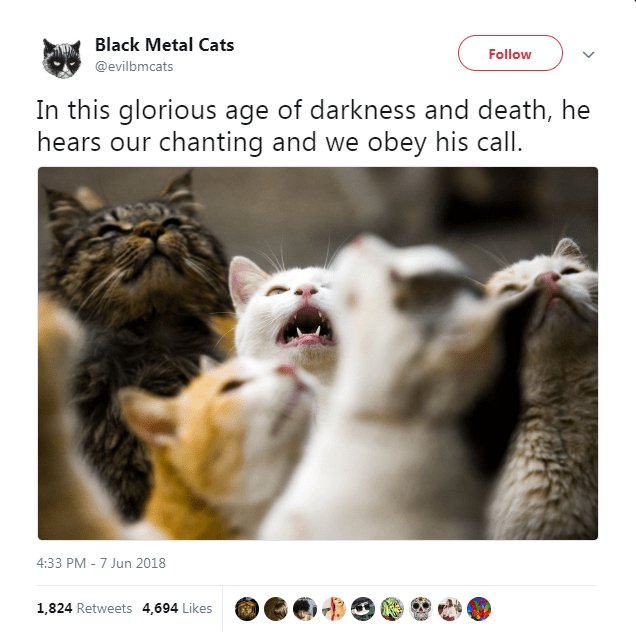 Black Metal Cats e evilbmeats e T In this glorious age of darkness and death he hears our chanting and we obey his call 433 PM 7 Jun 2018 1824 Reteets 460l QL DG B H