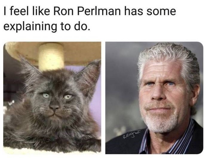feel like Ron Perlman has some explaining to do