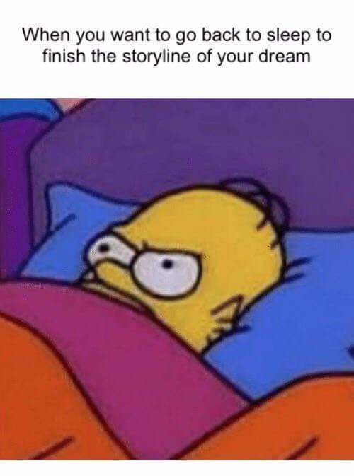 When you want to go back to sleep to finish the storyline of your dream