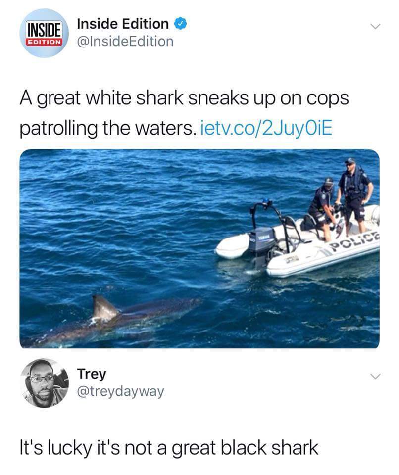NI Inside Edition v INSIDE InsideEdition A great white shark sneaks up on cops patrolling the waters ietvco2JuyOiE T 2 Trey v h treydayway Its lucky its not a great black shark