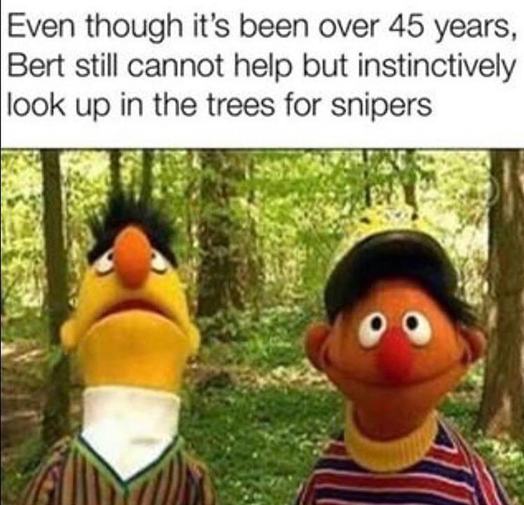 Even though its been over 45 years Bert still cannot help but instinctively look up in the trees for snipers