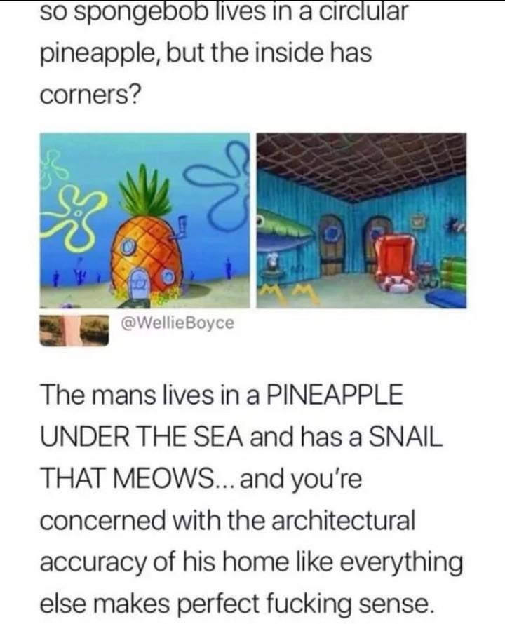 SO spongepnob lives In a circlular pineapple but the inside has corners WellieBoyce The mans lives in a PINEAPPLE UNDER THE SEA and has a SNAIL THAT MEOWS and youre concerned with the architectural accuracy of his home like everything else makes perfect fucking sense