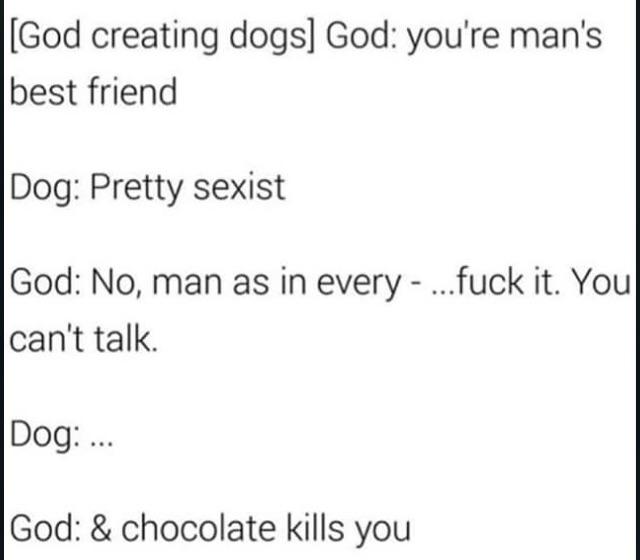 God creating dogs God youre mans best friend Dog Pretty sexist God No man as in every fuck it You cant talk Dog God chocolate kills you