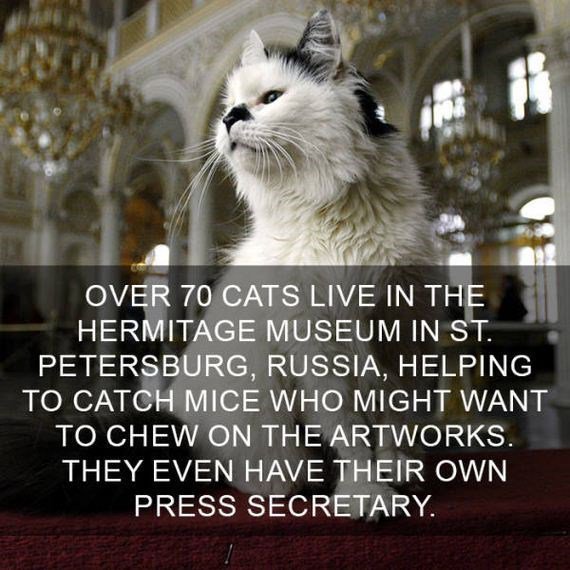 TO CATCH WHO MIGHT WANT ON THEARTWORKS THEY EVEN HAVE THEIR OWN PRESS SECRETARY