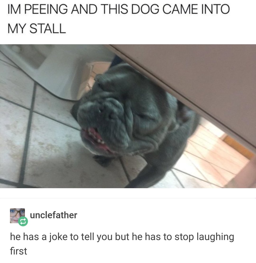IM PEEING AND THIS DOG CAME INTO MY STALL unclefather he has a joke to tell you but he has to stop laughing first