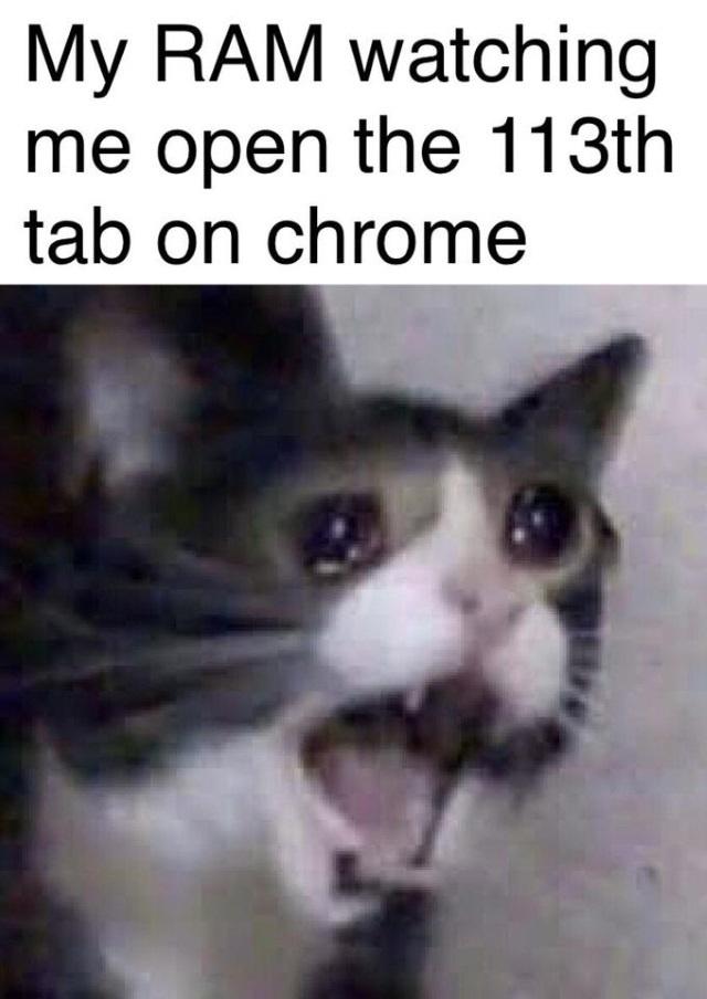 My RAM watching me open the 113th tab on chrome