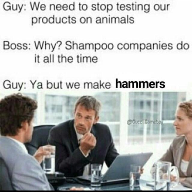 Guy We need to stop testing our products on animals Boss Why Shampoo companies do it all the time Guy Ya but we make hammers