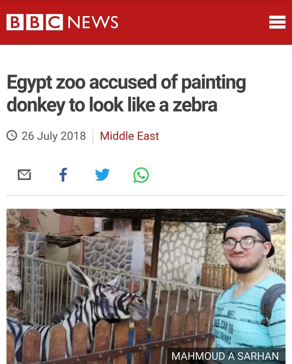 Egypt zoo accused of painting donkey to look like a zebra 26 July 2018 Middle East 1 MAHMOUD A SARHAN