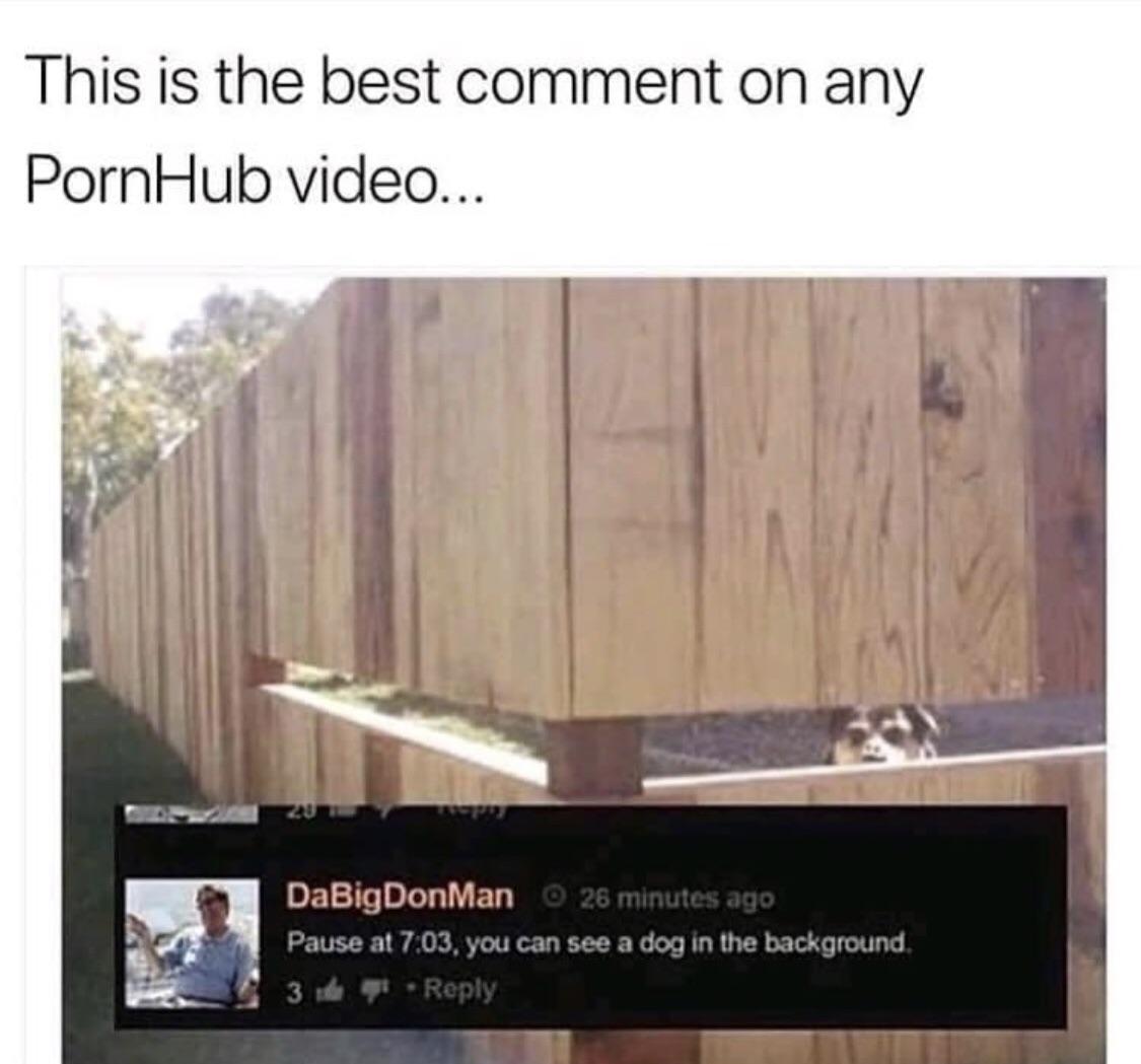 This is the best comment on any PornHub video DaBigDonMan Pause at 703 you can see a dog in the background