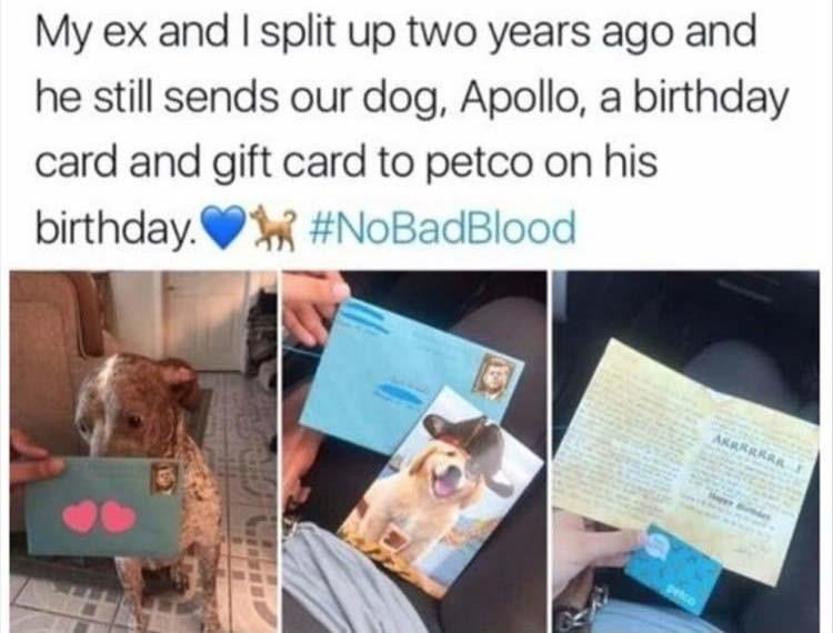 My ex and split up two years ago and he still sends our dog Apollo a birthday card and gift card to petco on his birthday 9 g NoBadBlood