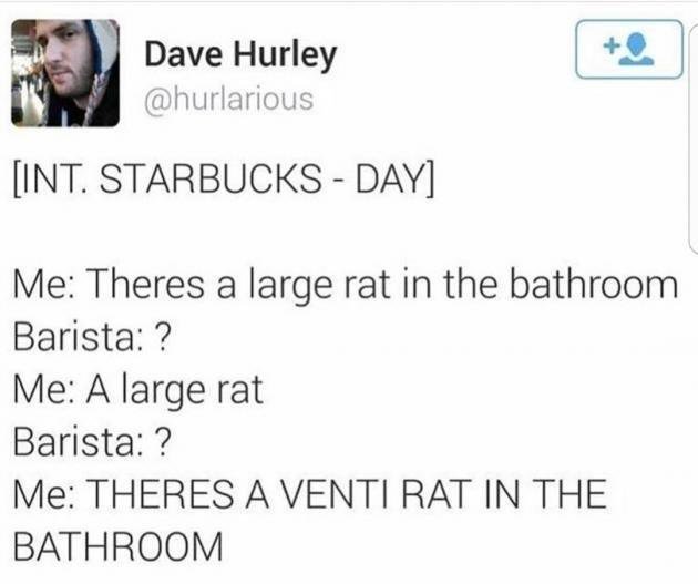 Dave Hurley hurlarious INT STARBUCKS DAY Me Theres a large rat in the bathroom Barista Me A large rat Barista Me THERES A VENTI RAT IN THE BATHROOM