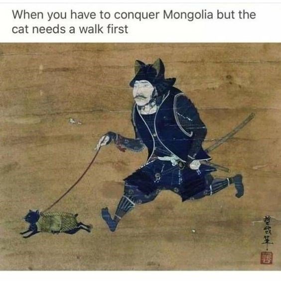 When you have to conquer Mongolia but the cat needs a walk first