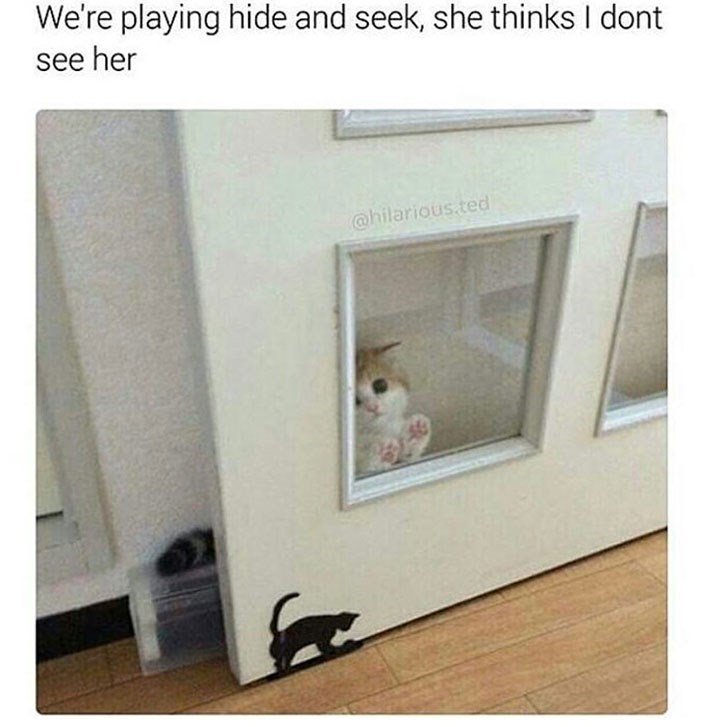 Were playing hide and seek she thinks dont see her