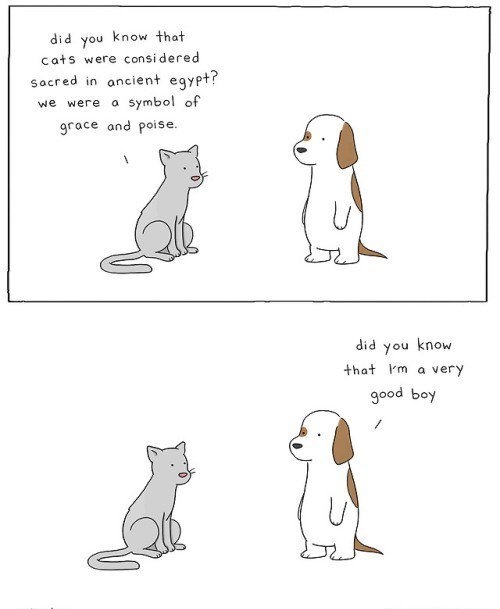 did you know that cats were considered socred in ancient egypt we were a symbol of grace and poise 4id you know hat Ym a very go0d boy