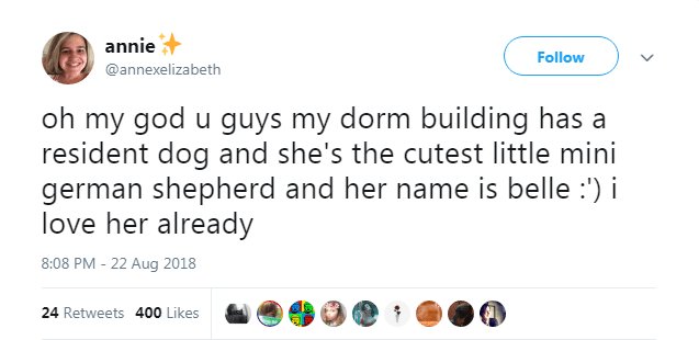 annie Follow annexelizabeth oh my god u guys my dorm building has a resident dog and shes the cutest little mini german shepherd and her name is belle i love her already 808 PM 22 Aug 2018 24reeets 400l QBB P OQ