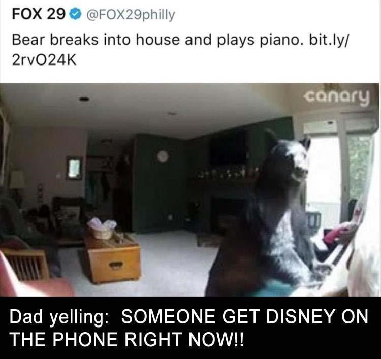FOX 29 FOX29philly Bear breaks into house and plays piano bitly 2rv024K DELRTEITisHsie V So ely DISNEY O THE PHONE RIGHT NOW