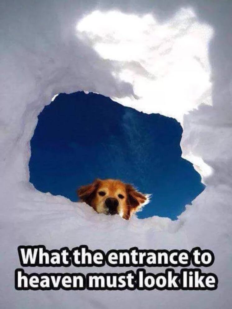 heavenmust looklike