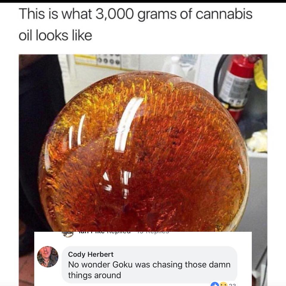This is what 3000 grams of cannabis oil looks like oi Cody Herbert No wonder Goku was chasing those damn things around Y s