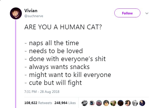 Q v ARE YOU A HUMAN CAT naps all the time needs to be loved done with everyones shit always wants snacks might want to kill everyone cute but will fight 731PM 28 Aug 2018 108622 Retveets 248968 Lkes DR O PODHD