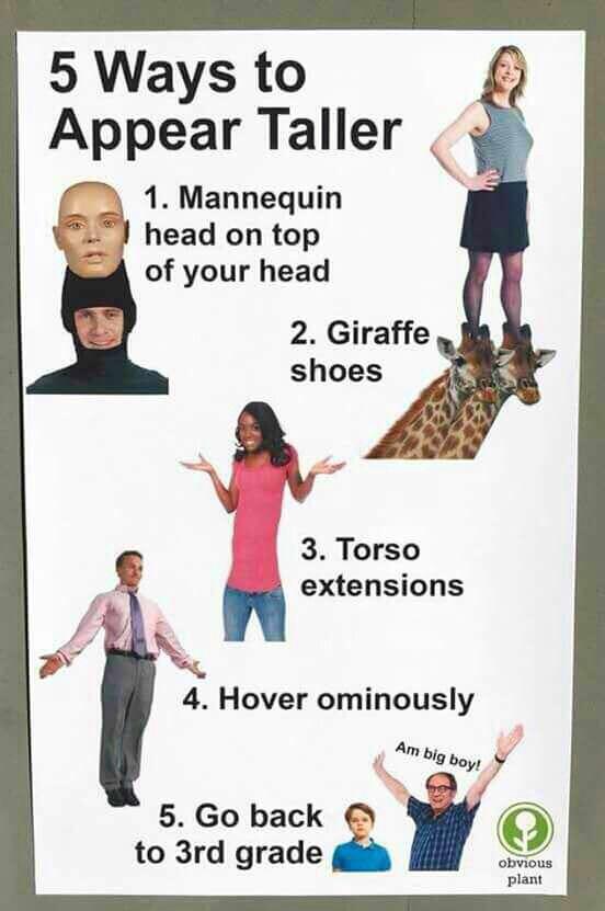 5 Ways to Appear Taller 1 Mannequin head on top of your head 2 Giraffe shoes 3 Torso b4 extensions P 4 Hover ominously Ambig b y 5 Go back O to 3rd grade