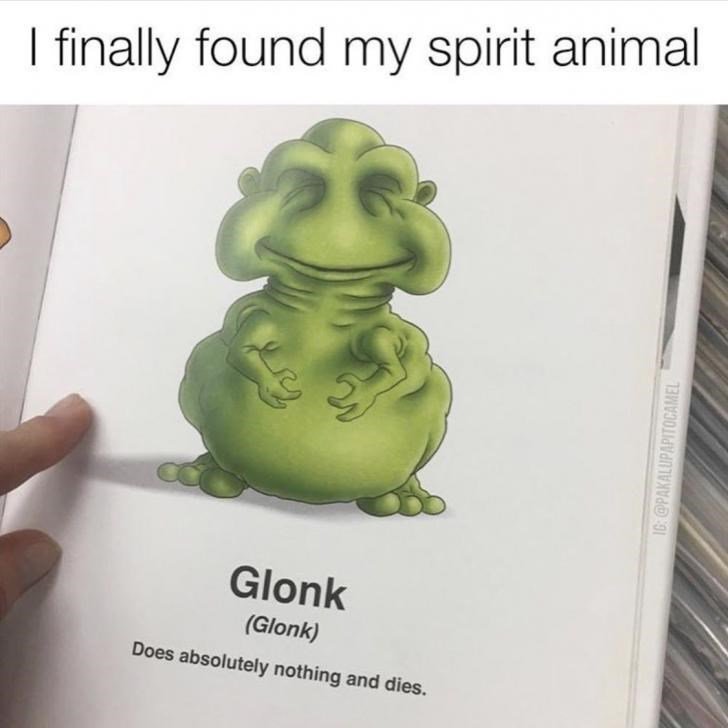 finally found my spirit animal Glon Does 20501Utely nothing o dies
