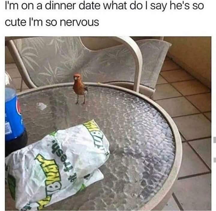 Im on a dinner date what do say hes so cute Im so nervous