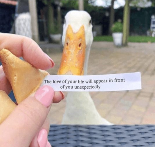 The love of your life will appear in front of you unexpectedly