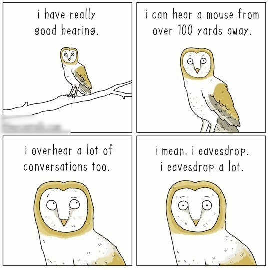 i have really g00d hearing i can hear a mouse from over 100 yards avay i overhear a lot of conversations too i mean i eavesdrop i eavesdrop a lof