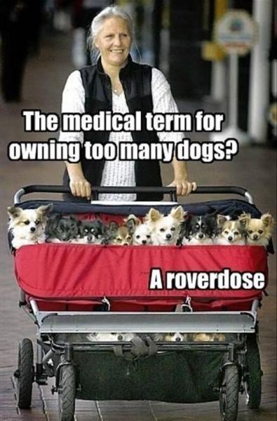 Aroverdose Tl 5 i M F S