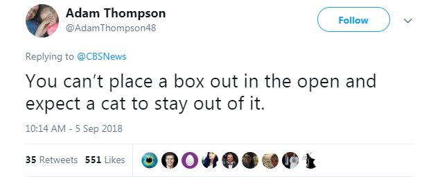 Adam Thompson AdamThompson4s Replying to CBSNews You cant place a box out in the open and expect a cat to stay out of it 1014 AM 5 Sep 2018 srevess 51k QO HOPSIC